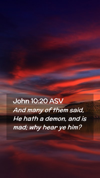 Picture 02 - John 10:20 ASV Mobile Phone Wallpaper - And many of them said, He hath a demon, and is - Mobile Bible Verse Wallpaper