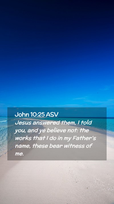 Picture 02 - John 10:25 ASV Mobile Phone Wallpaper - Jesus answered them, I told you, and ye believe - Mobile Bible Verse Wallpaper