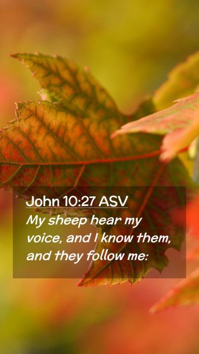Picture 02 - John 10:27 ASV Mobile Phone Wallpaper - My sheep hear my voice, and I know them, and they - Mobile Bible Verse Wallpaper