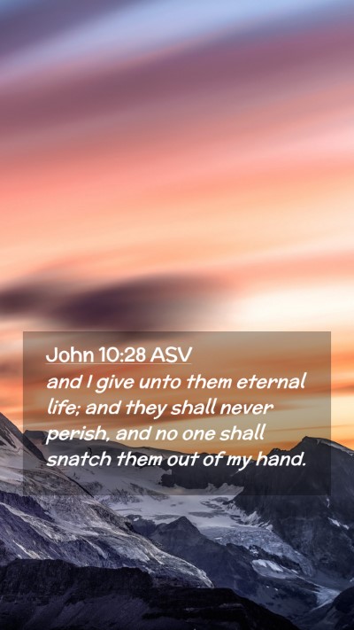 Picture 02 - John 10:28 ASV Mobile Phone Wallpaper - and I give unto them eternal life; and they shall - Mobile Bible Verse Wallpaper
