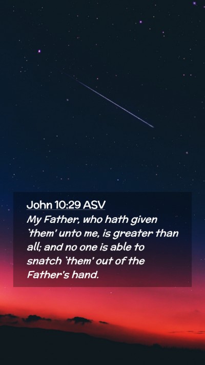 Picture 02 - John 10:29 ASV Mobile Phone Wallpaper - My Father, who hath given `them' unto me, is - Mobile Bible Verse Wallpaper