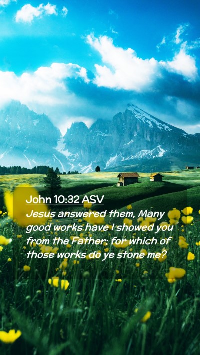 Picture 02 - John 10:32 ASV Mobile Phone Wallpaper - Jesus answered them, Many good works have I - Mobile Bible Verse Wallpaper