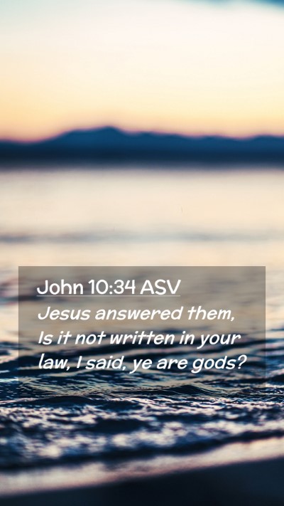 Picture 02 - John 10:34 ASV Mobile Phone Wallpaper - Jesus answered them, Is it not written in your - Mobile Bible Verse Wallpaper