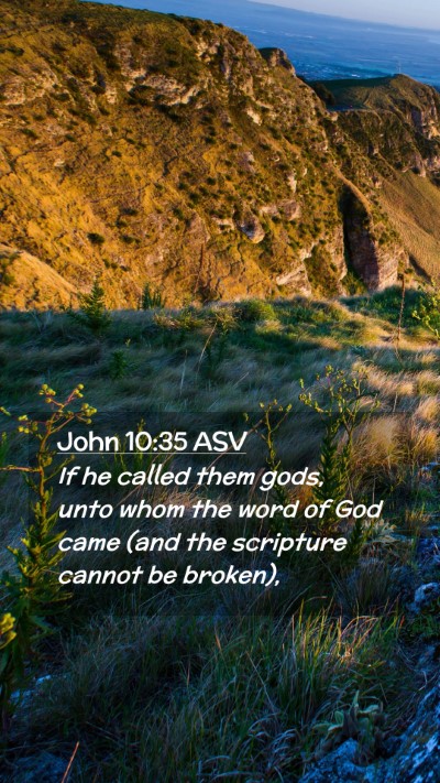 Picture 02 - John 10:35 ASV Mobile Phone Wallpaper - If he called them gods, unto whom the word of God - Mobile Bible Verse Wallpaper