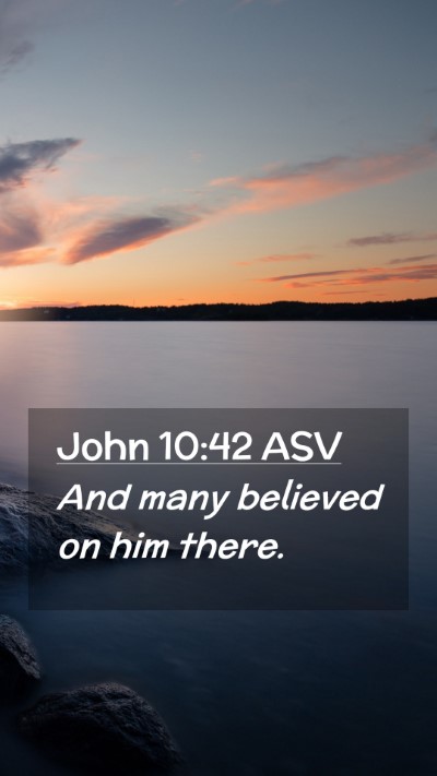 Picture 02 - John 10:42 ASV Mobile Phone Wallpaper - And many believed on him - Mobile Bible Verse Wallpaper