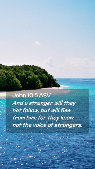 Picture 02 - John 10:5 ASV Mobile Phone Wallpaper - And a stranger will they not follow, but will - Mobile Bible Verse Wallpaper