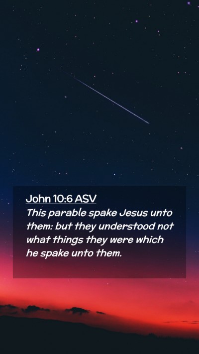 Picture 02 - John 10:6 ASV Mobile Phone Wallpaper - This parable spake Jesus unto them: but they - Mobile Bible Verse Wallpaper