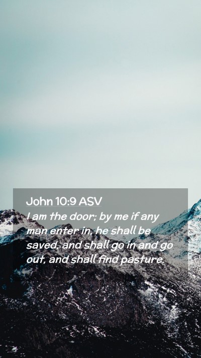 Picture 02 - John 10:9 ASV Mobile Phone Wallpaper - I am the door; by me if any man enter in, he - Mobile Bible Verse Wallpaper