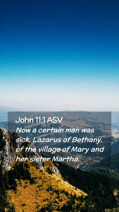 Picture 02 - John 11:1 ASV Mobile Phone Wallpaper - Now a certain man was sick, Lazarus of Bethany, - Mobile Bible Verse Wallpaper