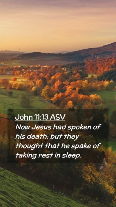 Picture 02 - John 11:13 ASV Mobile Phone Wallpaper - Now Jesus had spoken of his death: but they - Mobile Bible Verse Wallpaper