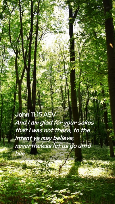 Picture 02 - John 11:15 ASV Mobile Phone Wallpaper - And I am glad for your sakes that I was not - Mobile Bible Verse Wallpaper