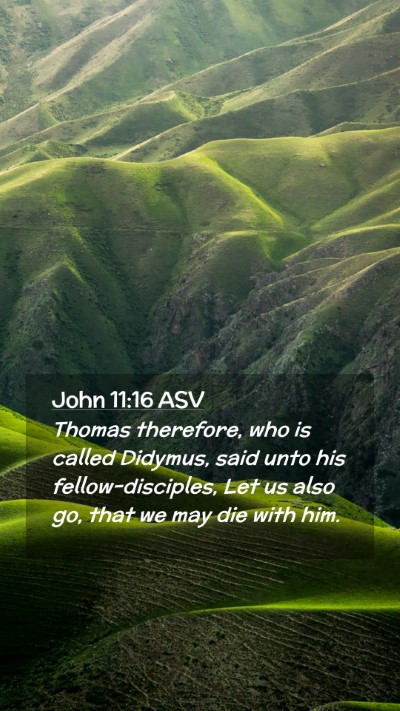 Picture 02 - John 11:16 ASV Mobile Phone Wallpaper - Thomas therefore, who is called Didymus, said - Mobile Bible Verse Wallpaper