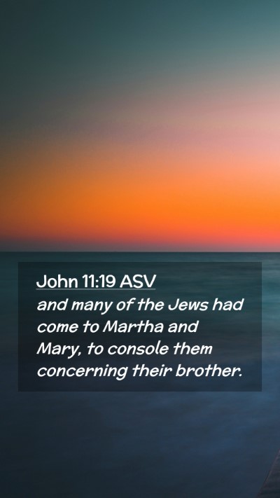 Picture 02 - John 11:19 ASV Mobile Phone Wallpaper - and many of the Jews had come to Martha and Mary, - Mobile Bible Verse Wallpaper