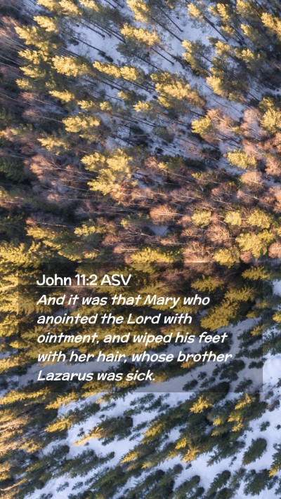 Picture 02 - John 11:2 ASV Mobile Phone Wallpaper - And it was that Mary who anointed the Lord with - Mobile Bible Verse Wallpaper