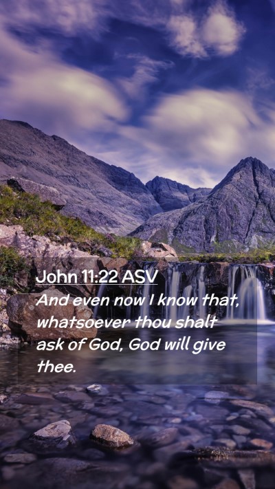 Picture 02 - John 11:22 ASV Mobile Phone Wallpaper - And even now I know that, whatsoever thou shalt - Mobile Bible Verse Wallpaper