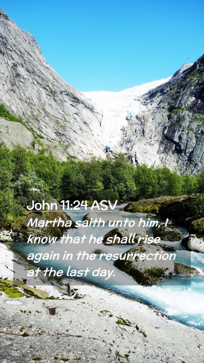 Picture 02 - John 11:24 ASV Mobile Phone Wallpaper - Martha saith unto him, I know that he shall rise - Mobile Bible Verse Wallpaper