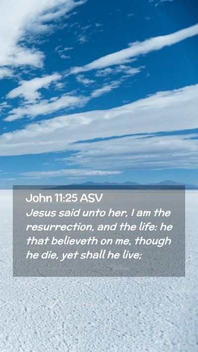 Picture 02 - John 11:25 ASV Mobile Phone Wallpaper - Jesus said unto her, I am the resurrection, and - Mobile Bible Verse Wallpaper