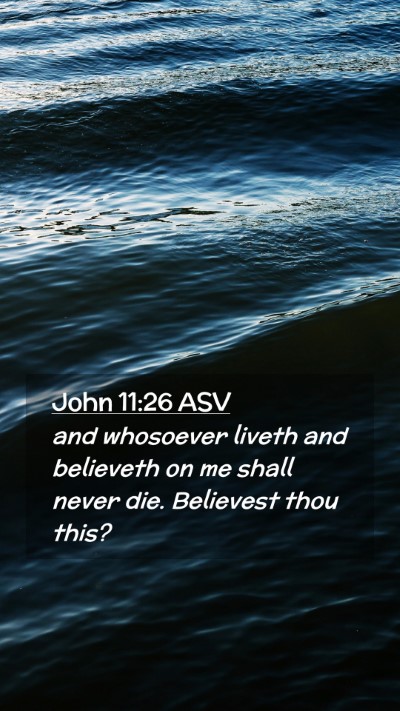 Picture 02 - John 11:26 ASV Mobile Phone Wallpaper - and whosoever liveth and believeth on me shall - Mobile Bible Verse Wallpaper