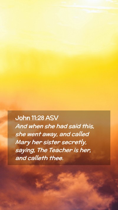 Picture 02 - John 11:28 ASV Mobile Phone Wallpaper - And when she had said this, she went away, and - Mobile Bible Verse Wallpaper