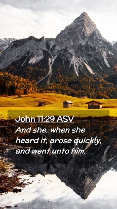 Picture 02 - John 11:29 ASV Mobile Phone Wallpaper - And she, when she heard it, arose quickly, and - Mobile Bible Verse Wallpaper