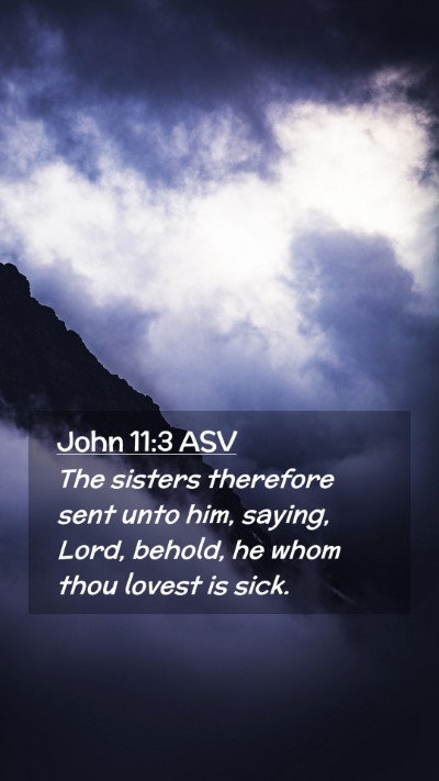 Picture 02 - John 11:3 ASV Mobile Phone Wallpaper - The sisters therefore sent unto him, saying, - Mobile Bible Verse Wallpaper
