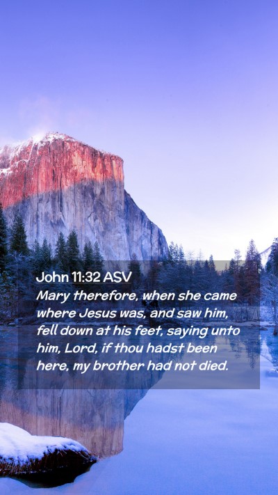 Picture 02 - John 11:32 ASV Mobile Phone Wallpaper - Mary therefore, when she came where Jesus was, - Mobile Bible Verse Wallpaper