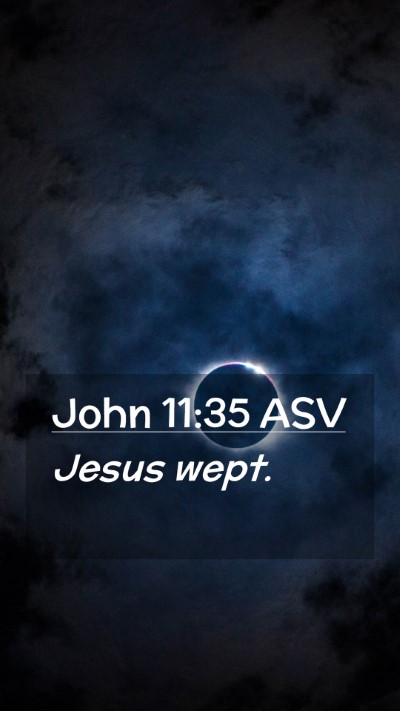 Picture 02 - John 11:35 ASV Mobile Phone Wallpaper - Jesus - Mobile Bible Verse Wallpaper