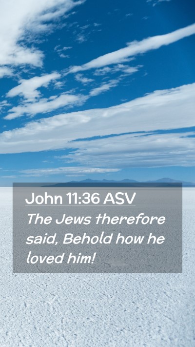 Picture 02 - John 11:36 ASV Mobile Phone Wallpaper - The Jews therefore said, Behold how he loved - Mobile Bible Verse Wallpaper