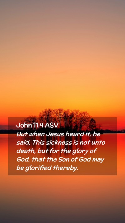 Picture 02 - John 11:4 ASV Mobile Phone Wallpaper - But when Jesus heard it, he said, This sickness - Mobile Bible Verse Wallpaper