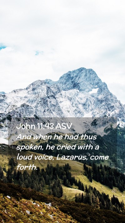 Picture 02 - John 11:43 ASV Mobile Phone Wallpaper - And when he had thus spoken, he cried with a loud - Mobile Bible Verse Wallpaper