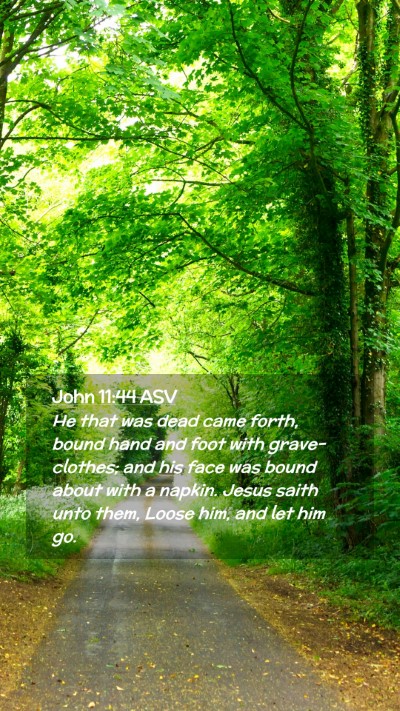 Picture 02 - John 11:44 ASV Mobile Phone Wallpaper - He that was dead came forth, bound hand and foot - Mobile Bible Verse Wallpaper