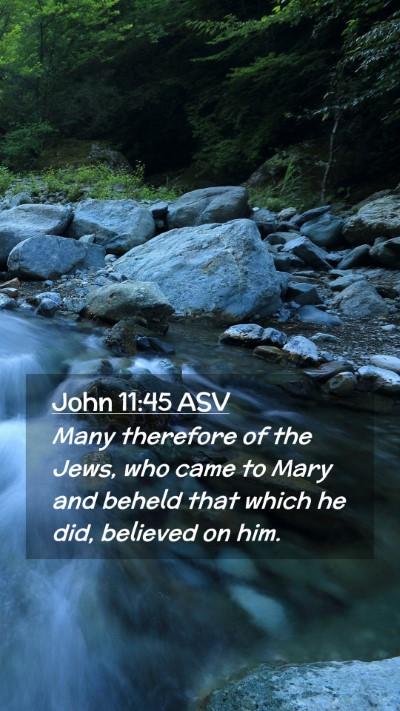 Picture 02 - John 11:45 ASV Mobile Phone Wallpaper - Many therefore of the Jews, who came to Mary and - Mobile Bible Verse Wallpaper