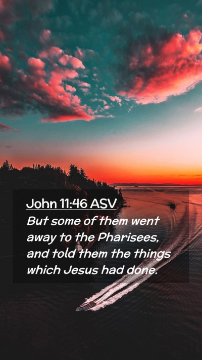 Picture 02 - John 11:46 ASV Mobile Phone Wallpaper - But some of them went away to the Pharisees, and - Mobile Bible Verse Wallpaper