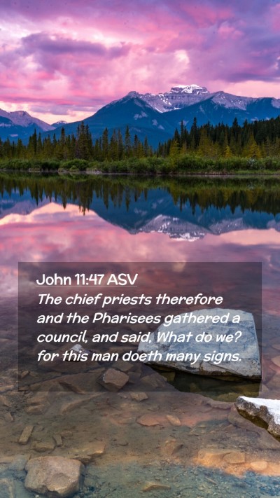 Picture 02 - John 11:47 ASV Mobile Phone Wallpaper - The chief priests therefore and the Pharisees - Mobile Bible Verse Wallpaper