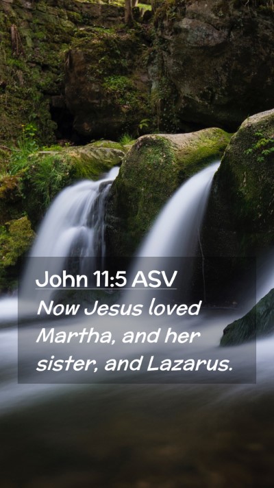 Picture 02 - John 11:5 ASV Mobile Phone Wallpaper - Now Jesus loved Martha, and her sister, and - Mobile Bible Verse Wallpaper