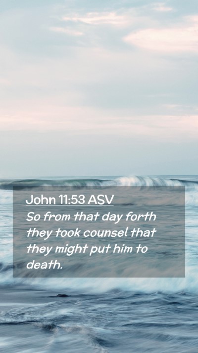 Picture 02 - John 11:53 ASV Mobile Phone Wallpaper - So from that day forth they took counsel that - Mobile Bible Verse Wallpaper