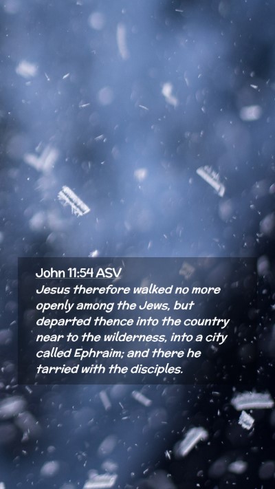 Picture 02 - John 11:54 ASV Mobile Phone Wallpaper - Jesus therefore walked no more openly among the - Mobile Bible Verse Wallpaper