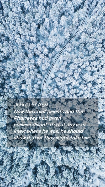 Picture 02 - John 11:57 ASV Mobile Phone Wallpaper - Now the chief priests and the Pharisees had given - Mobile Bible Verse Wallpaper