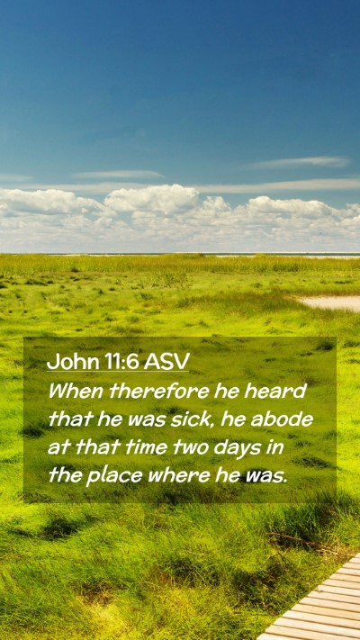 Picture 02 - John 11:6 ASV Mobile Phone Wallpaper - When therefore he heard that he was sick, he - Mobile Bible Verse Wallpaper