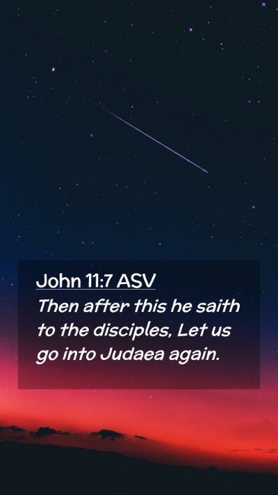 Picture 02 - John 11:7 ASV Mobile Phone Wallpaper - Then after this he saith to the disciples, Let us - Mobile Bible Verse Wallpaper