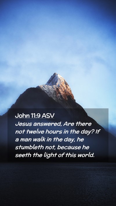 Picture 02 - John 11:9 ASV Mobile Phone Wallpaper - Jesus answered, Are there not twelve hours in the - Mobile Bible Verse Wallpaper