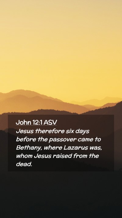 Picture 02 - John 12:1 ASV Mobile Phone Wallpaper - Jesus therefore six days before the passover came - Mobile Bible Verse Wallpaper