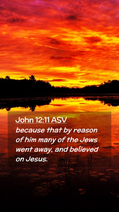 Picture 02 - John 12:11 ASV Mobile Phone Wallpaper - because that by reason of him many of the Jews - Mobile Bible Verse Wallpaper
