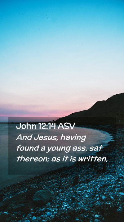 Picture 02 - John 12:14 ASV Mobile Phone Wallpaper - And Jesus, having found a young ass, sat thereon; - Mobile Bible Verse Wallpaper