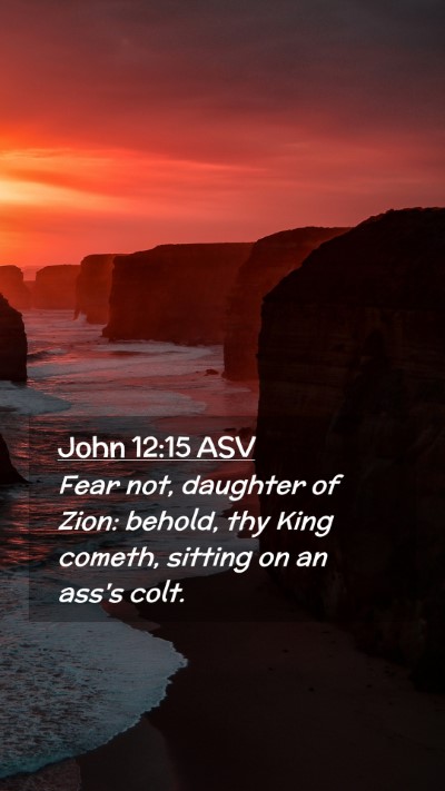 Picture 02 - John 12:15 ASV Mobile Phone Wallpaper - Fear not, daughter of Zion: behold, thy King - Mobile Bible Verse Wallpaper