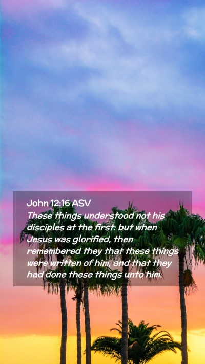 Picture 02 - John 12:16 ASV Mobile Phone Wallpaper - These things understood not his disciples at the - Mobile Bible Verse Wallpaper