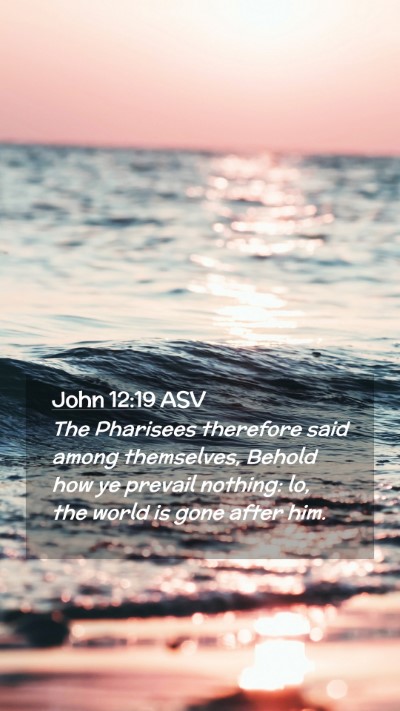 Picture 02 - John 12:19 ASV Mobile Phone Wallpaper - The Pharisees therefore said among themselves, - Mobile Bible Verse Wallpaper