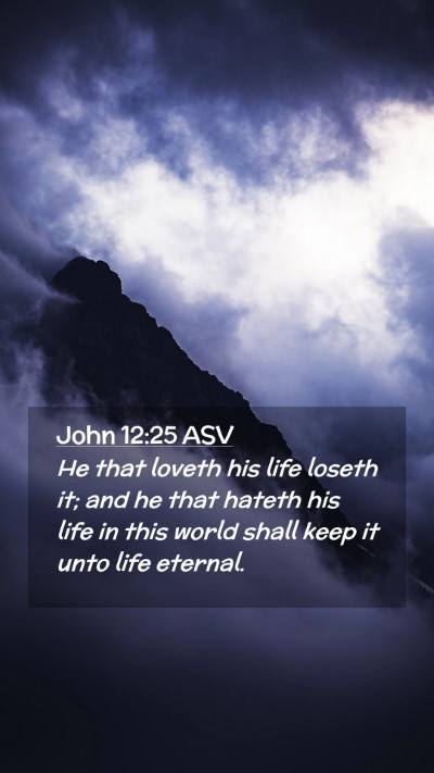 Picture 02 - John 12:25 ASV Mobile Phone Wallpaper - He that loveth his life loseth it; and he that - Mobile Bible Verse Wallpaper