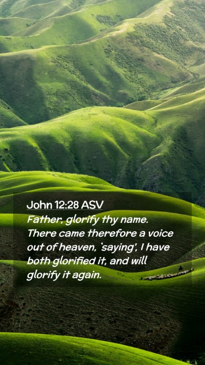 Picture 02 - John 12:28 ASV Mobile Phone Wallpaper - Father, glorify thy name. There came therefore a - Mobile Bible Verse Wallpaper