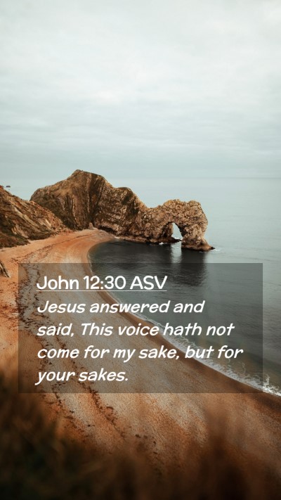 Picture 02 - John 12:30 ASV Mobile Phone Wallpaper - Jesus answered and said, This voice hath not come - Mobile Bible Verse Wallpaper